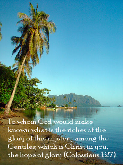 Colossians 1:27 with Coconut Tree and Kaneohe Bay, Oahu, Hawaii